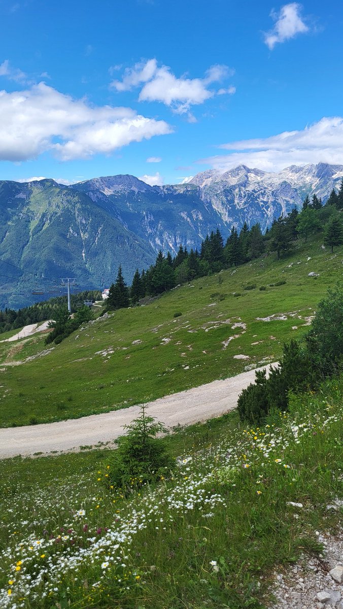 SarahBeddow1's tweet photo. Just back from a welcome break in stunning Slovenia 🇸🇮 . A real hidden gem. #Slovenia @adebeddow https://t.co/PDkYNOwV3Y