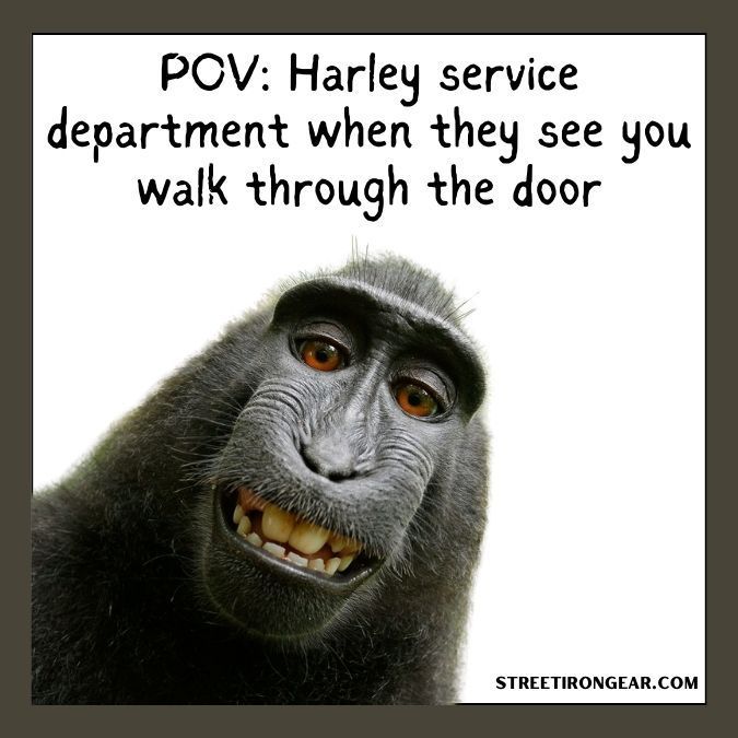 StreetIronGear's tweet image. POV: The Harley service department&apos;s face when you walk through the door! 😆🚪 Get ready for some good laughs and epic rides! #HarleyDavidson #MotorcycleHumor #BikerLife #ServiceSurprise #StreetIronGear
