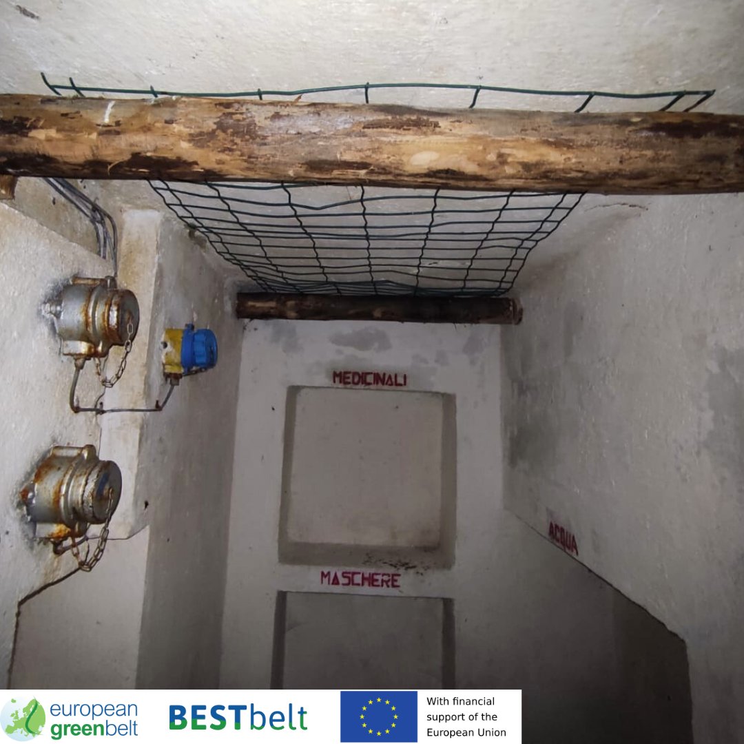 ReteItalia_EGB's tweet photo. The best way we could find to detect and assess #bat presence near/into the #ColdWar #bunkers we restored and upgraded as bat-shelters for #BESTbeltProject in Lusevera, are #Audiomoth devices. We placed them in strategic spots, and they are already giving back incredibile datas! https://t.co/ykSSEHIKCJ
