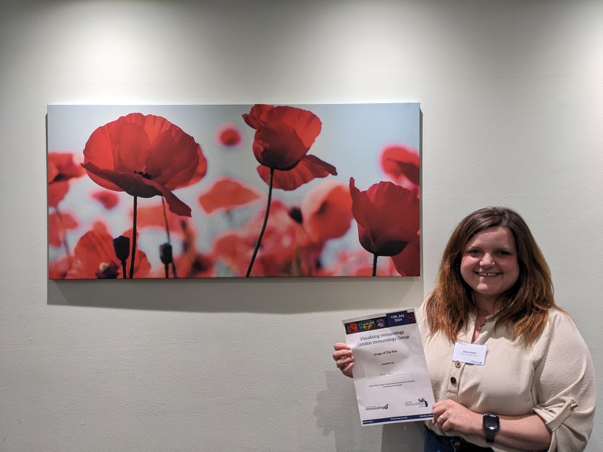 Diana Matei tweet media