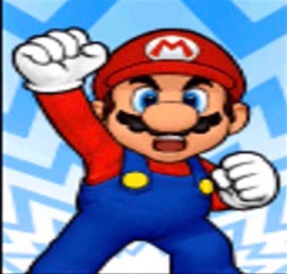 Daily Blowhog (@biowhog) on Twitter photo 