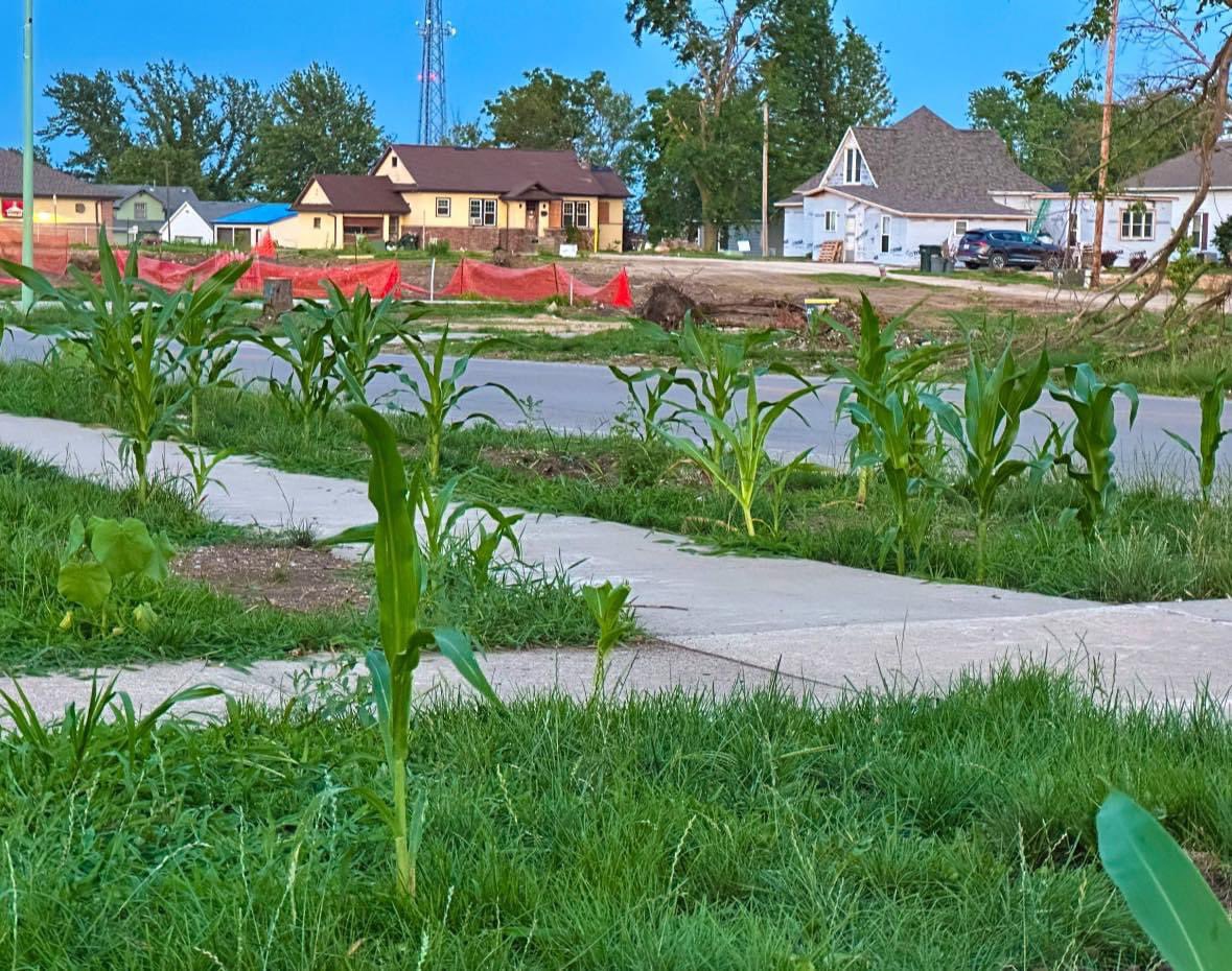 Tornado that hit Greenfield, IA has scattered corn throughout the town