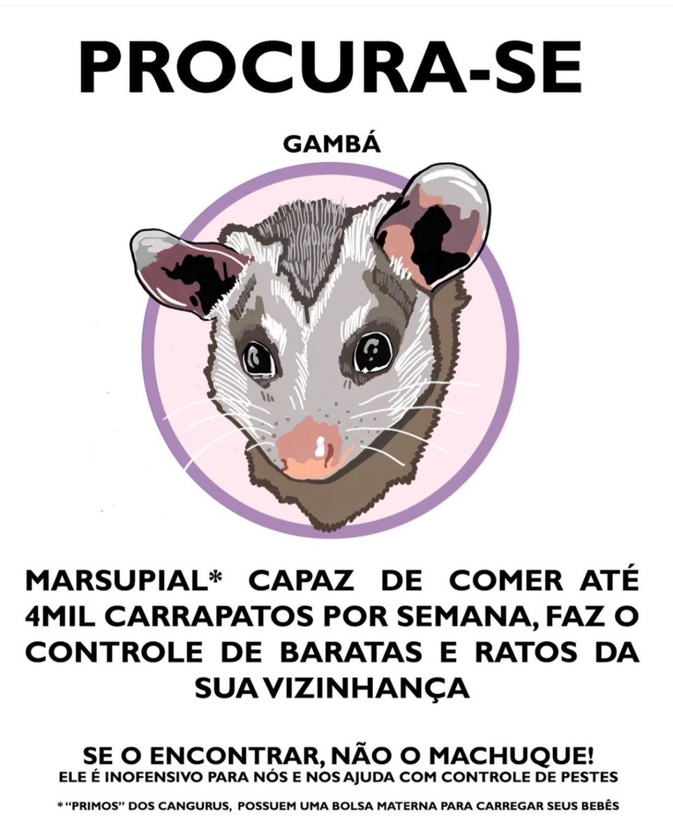 André Trigueiro tweet media