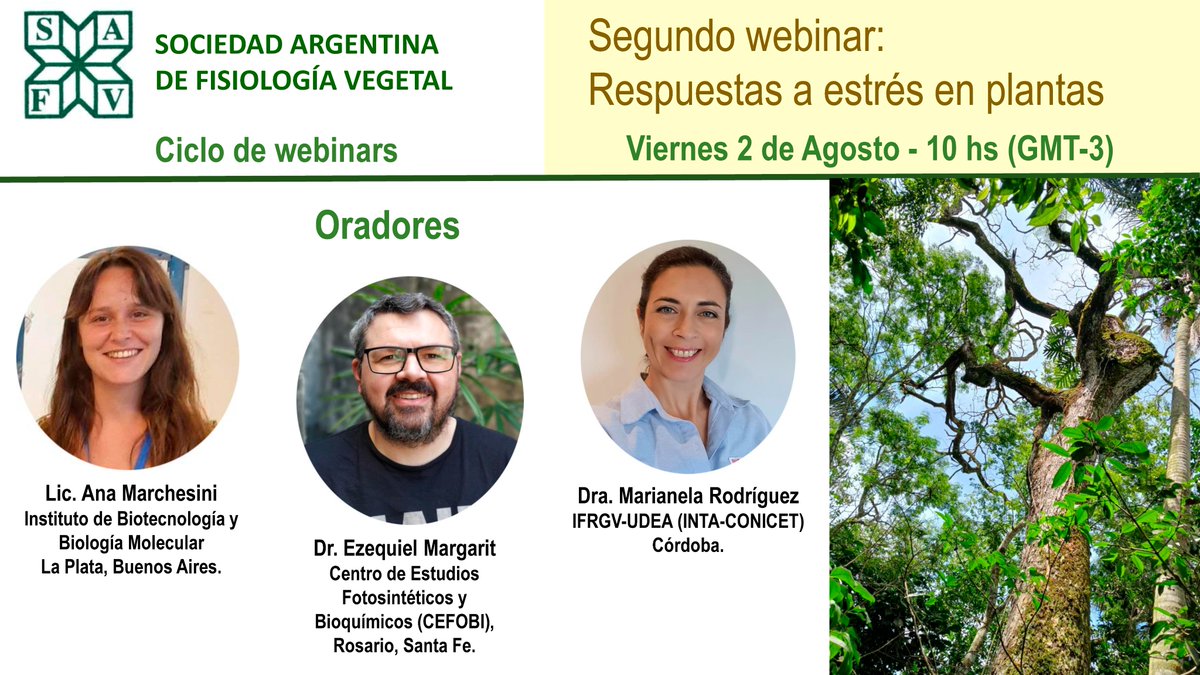 📢 Próximo Webinar de la SAFV "Respuestas a estrés en plantas"🌱🌳 Fantásticos oradores! Viernes 2/08 10h (GTM-3). No se lo pierdan! Más info en FY 👇
Inscripción hasta el 31/07 en forms.gle/QgdjkAXeh3XquW… 
<a href="/intaCIAP/">intaCIAP</a> <a href="/metabolicstress/">Marianela Rodríguez</a> <a href="/Plantsciencelab/">Virology and plant biotech Lab</a> <a href="/CEFOBI_CONICET/">CEFOBI-CONICET-UNR</a>