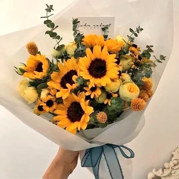 SUNFLOWER 🌻 tweet media