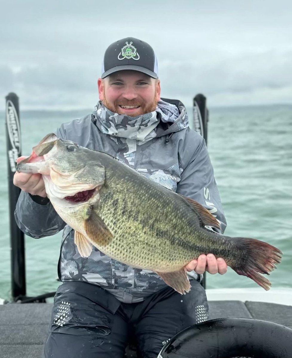 ikeliveshow's tweet image. Have you seen the new NY Largemouth state record? Thing is a GIANT!

#WatchIkeLive #Staterecord