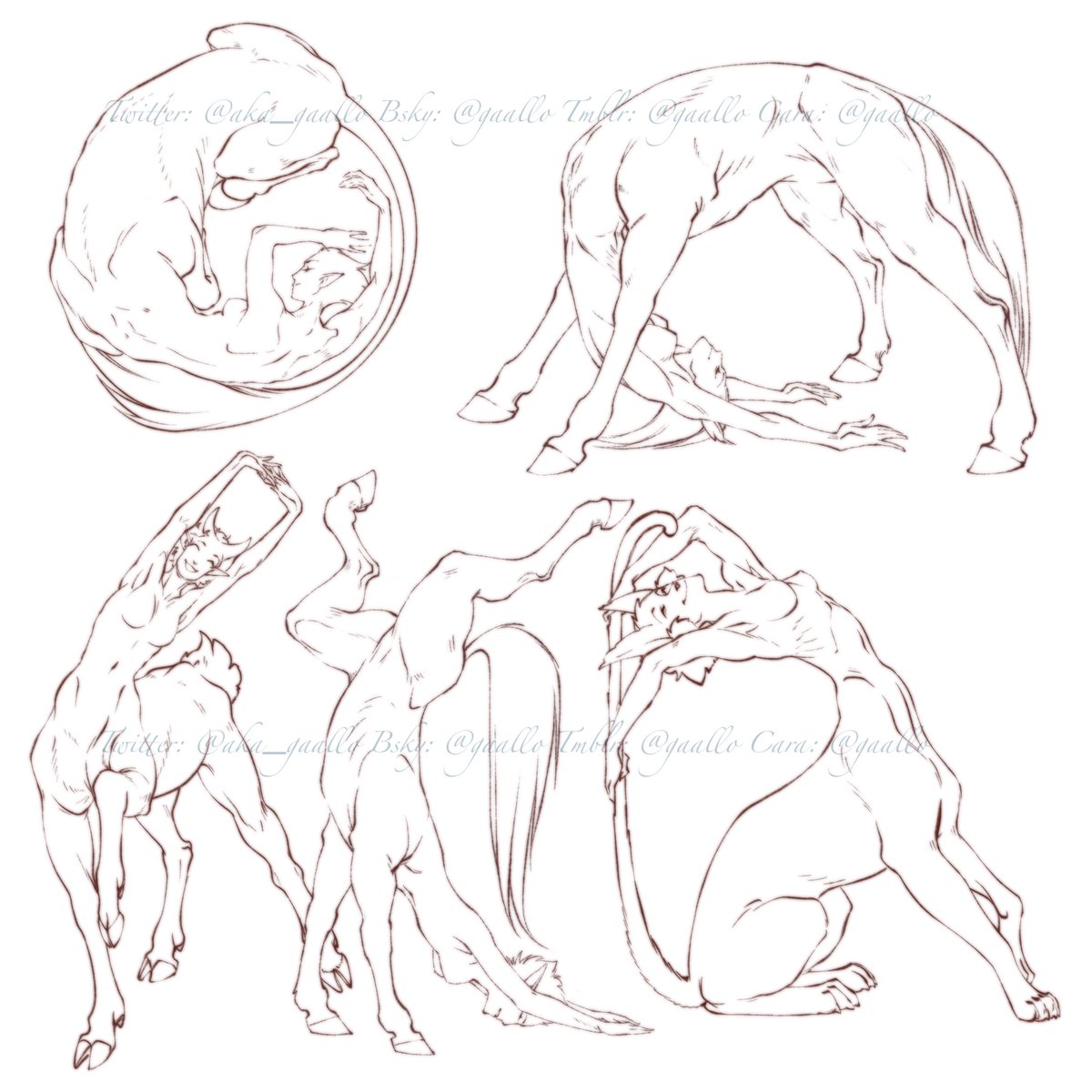 ☙ Gaallo tweet media