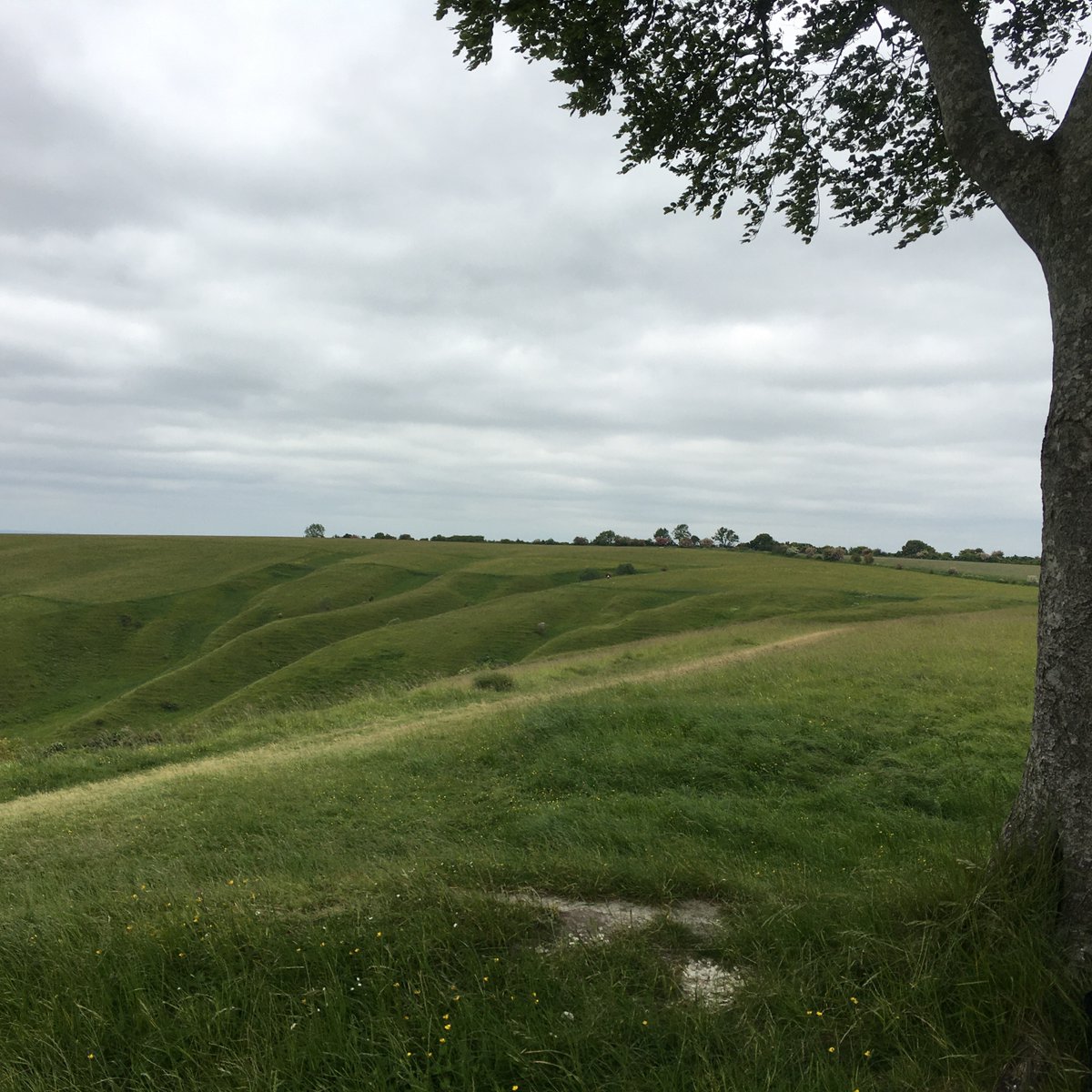 CharlesCordell's tweet image. The Battle of Roundway Down was fought #OTD - 13 July 1643. Read the story of Bloody Ditch, prisoners and ‘parsons’ - in The Keys of Hell and Death

#Roundway #Devizes #Marlborough #Wiltshire #CivilWarBattlefield #Cavaliers #CivilWarFiction #histfic #BathUK #DividedKingdomBooks