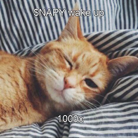 napysolcto's tweet photo. @CryptoTony__ Buy $NAPY though

https://t.co/lOUzHqwuzz https://t.co/gLbwn51jcF