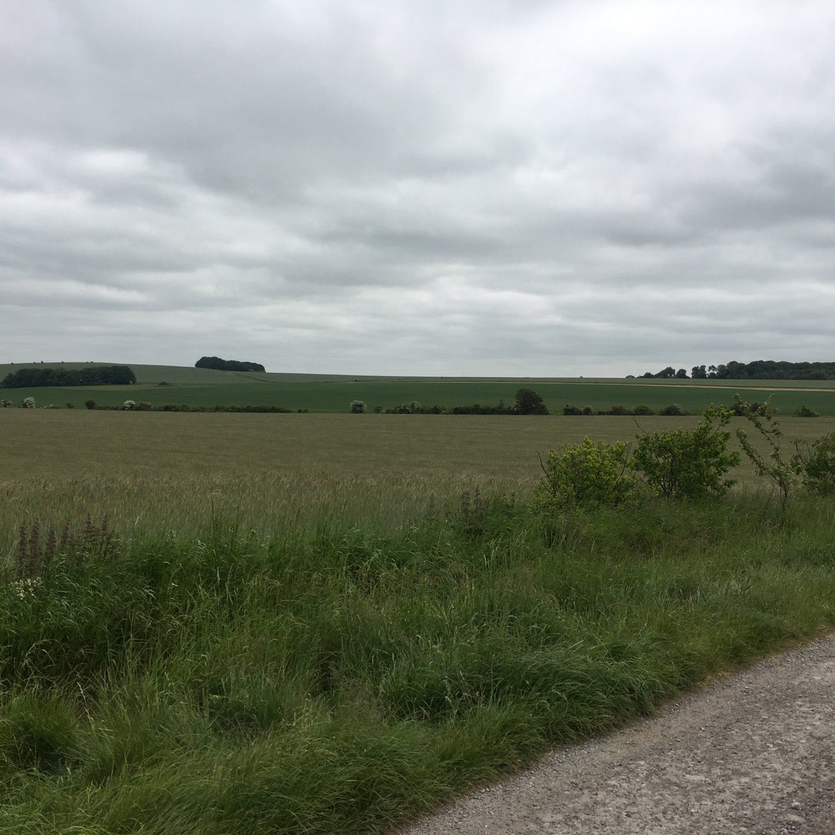 CharlesCordell's tweet image. The Battle of Roundway Down was fought #OTD - 13 July 1643. Read the story of Bloody Ditch, prisoners and ‘parsons’ - in The Keys of Hell and Death

#Roundway #Devizes #Marlborough #Wiltshire #CivilWarBattlefield #Cavaliers #CivilWarFiction #histfic #BathUK #DividedKingdomBooks