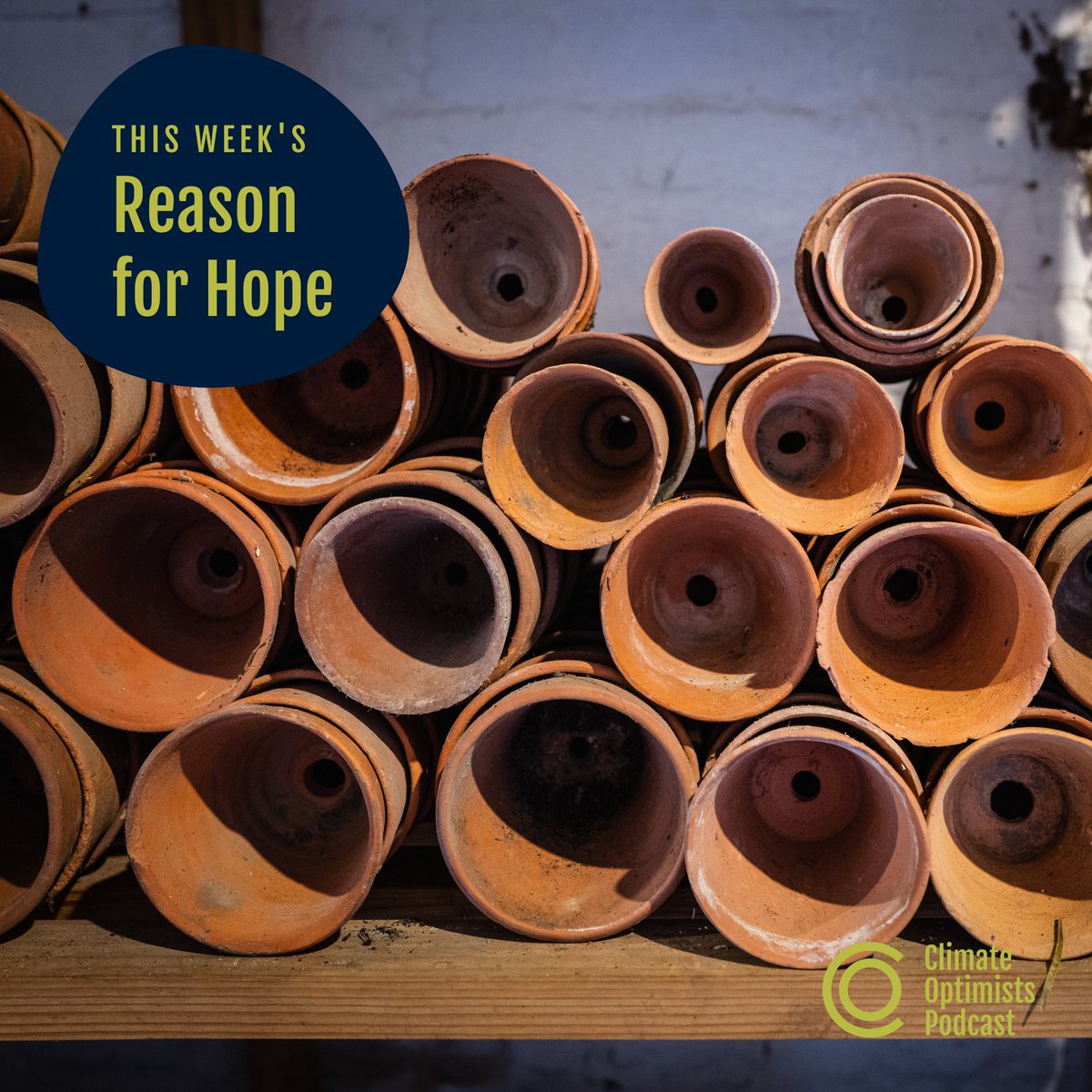 ClimateOptimistsPodcast tweet media