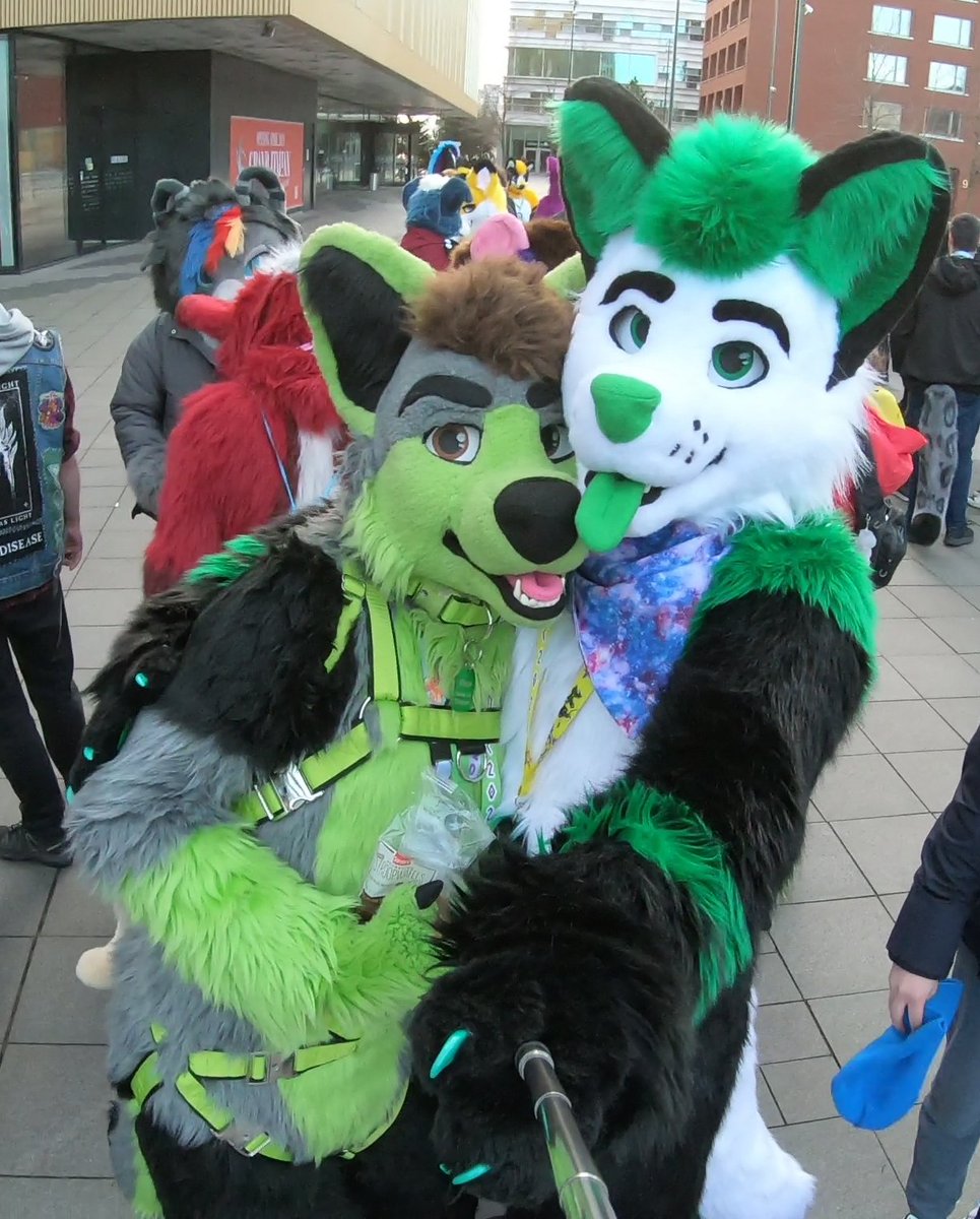 Rex (@bavarianrex) on Twitter photo Look at this smoll boyo i found 😋
And he's green as well 💚
Happy #FursuitFriday
✂️: <a href="/TheKarelia/">TheKareliaFursuits 🔜 EF29, Furnavia.</a> (<a href="/Rico_The_Wolf/">Rico The Wolf</a> & me) Look at this smoll boyo i found 😋
And he's green as well 💚
Happy #FursuitFriday
✂️: <a href="/TheKarelia/">TheKareliaFursuits 🔜 EF29, Furnavia.</a> (<a href="/Rico_The_Wolf/">Rico The Wolf</a> & me)