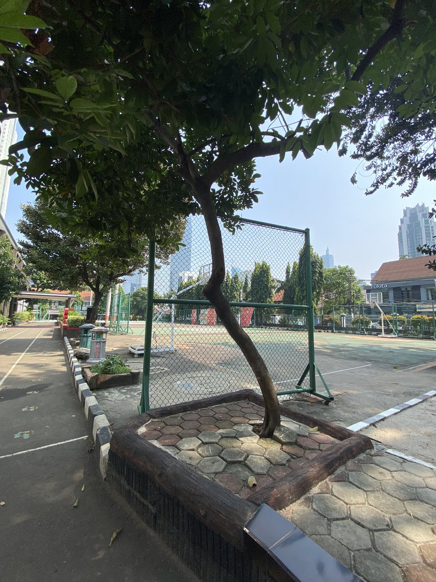 ammar maba ui’24 tweet media
