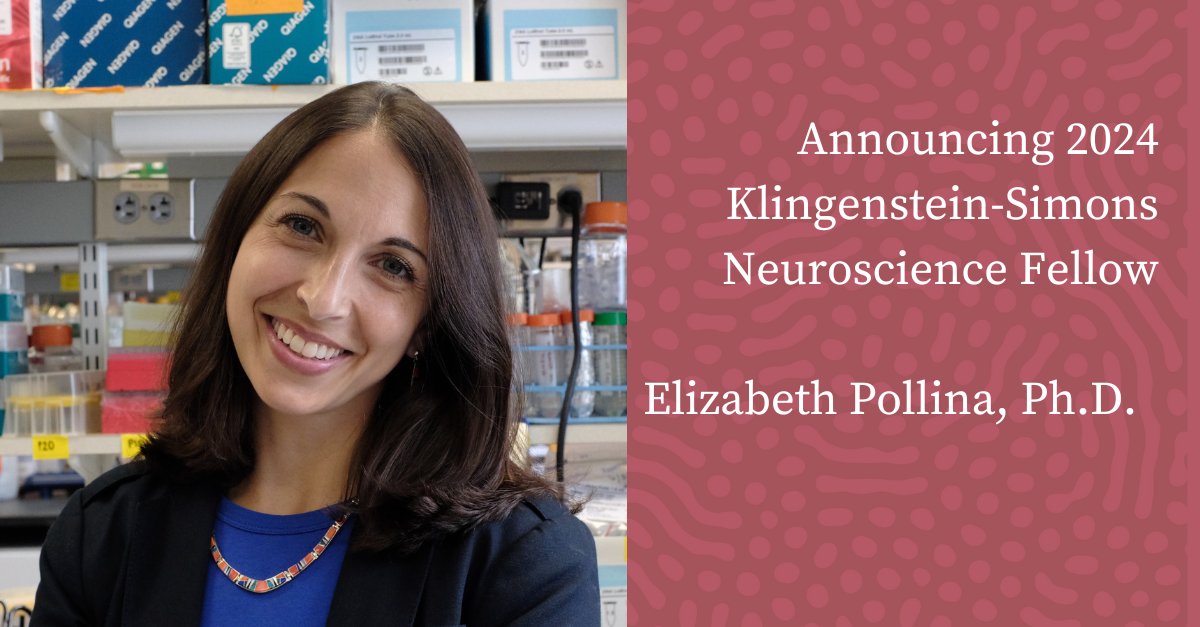 @KlingensteinOrg tweet media