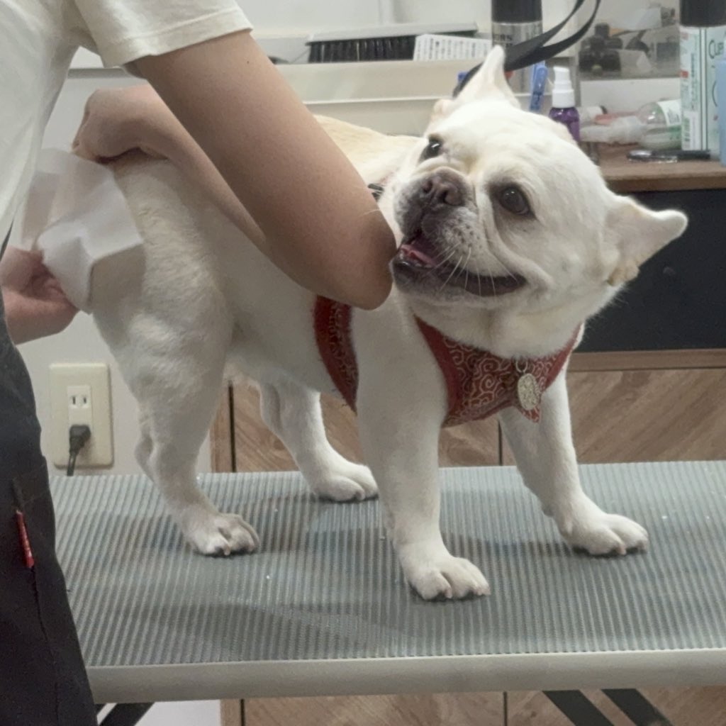 IngDardar's tweet photo. 愛嬌の権化です。 https://t.co/Ix2PL1XThX
