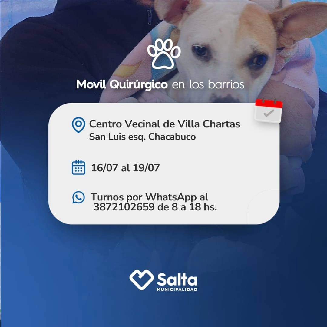 Info Muni Salta tweet media