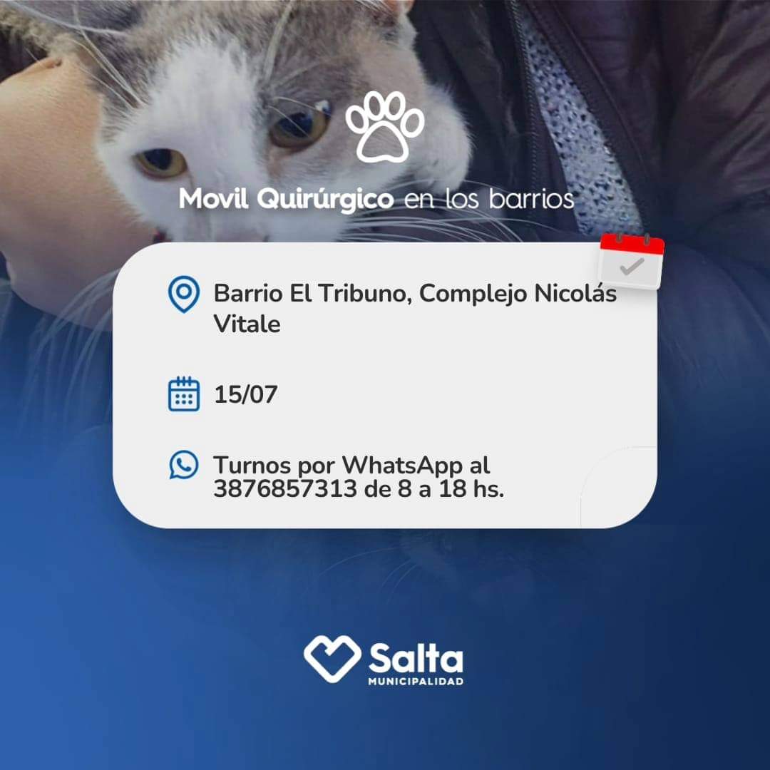 Info Muni Salta tweet media