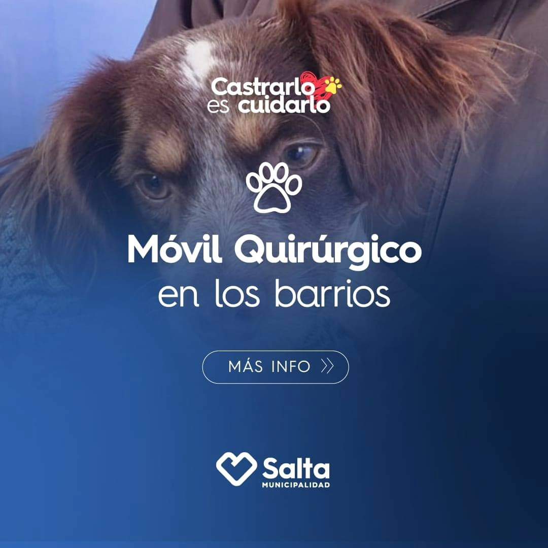 Info Muni Salta tweet media