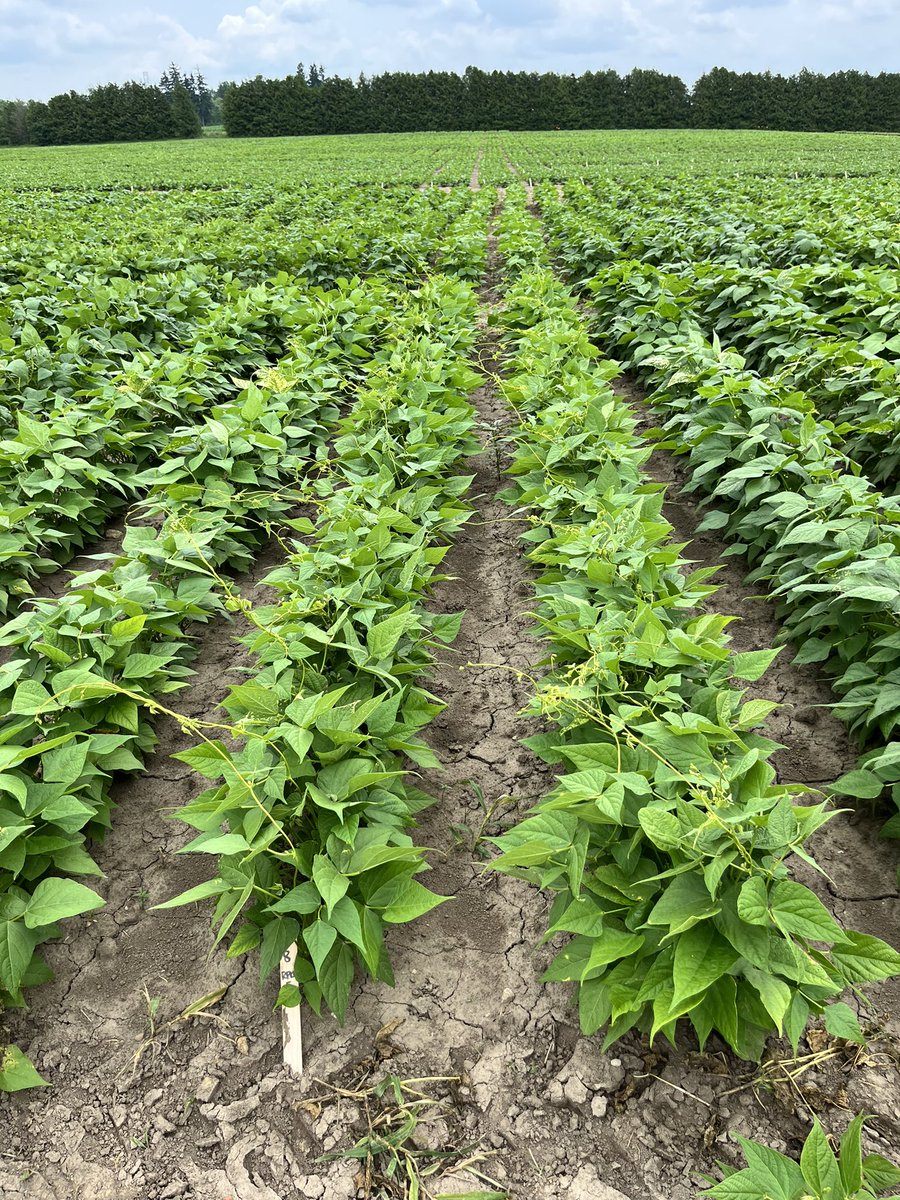 Jennifer Wilker tweet media