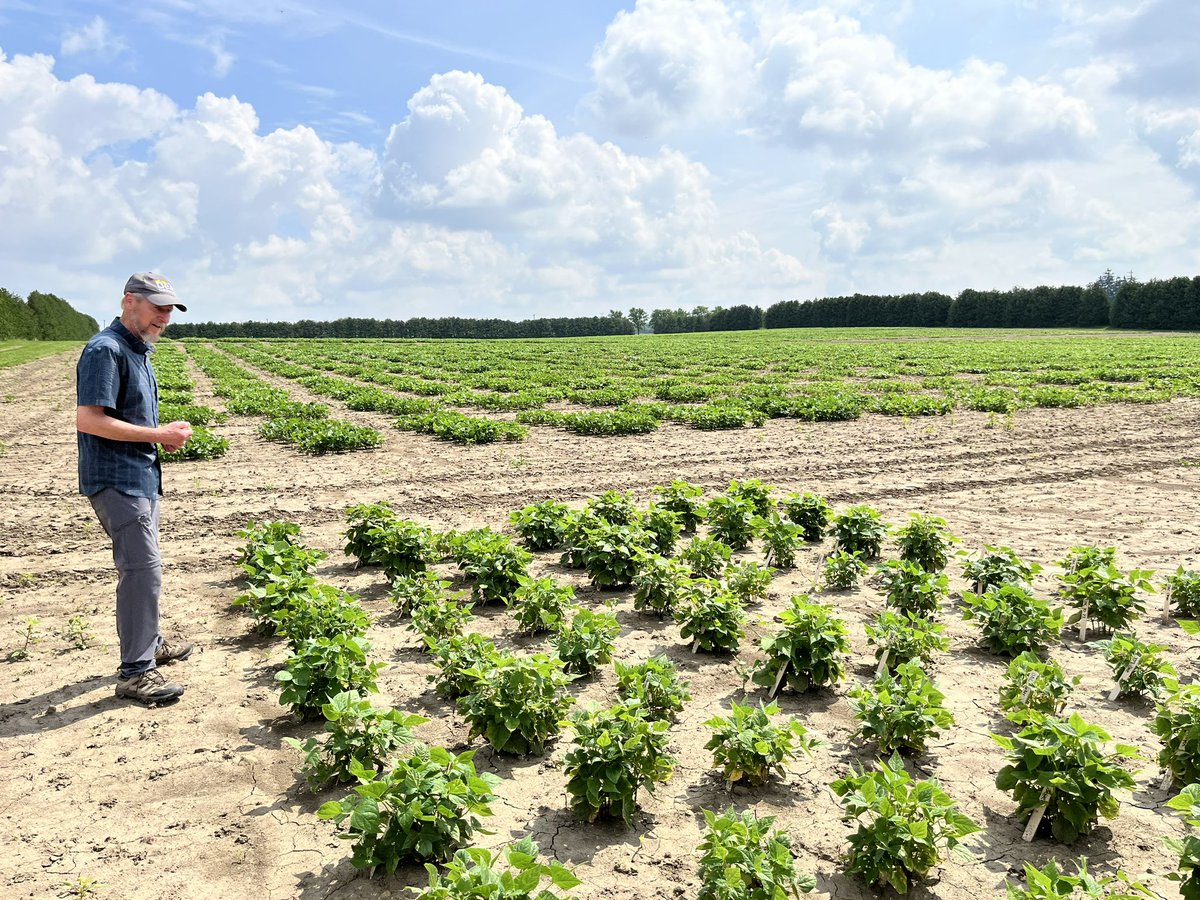 Jennifer Wilker tweet media