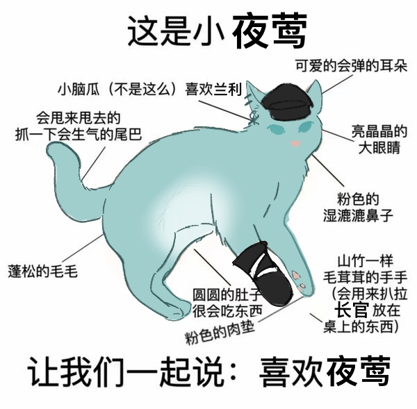 小夜莺呀咪呀咪