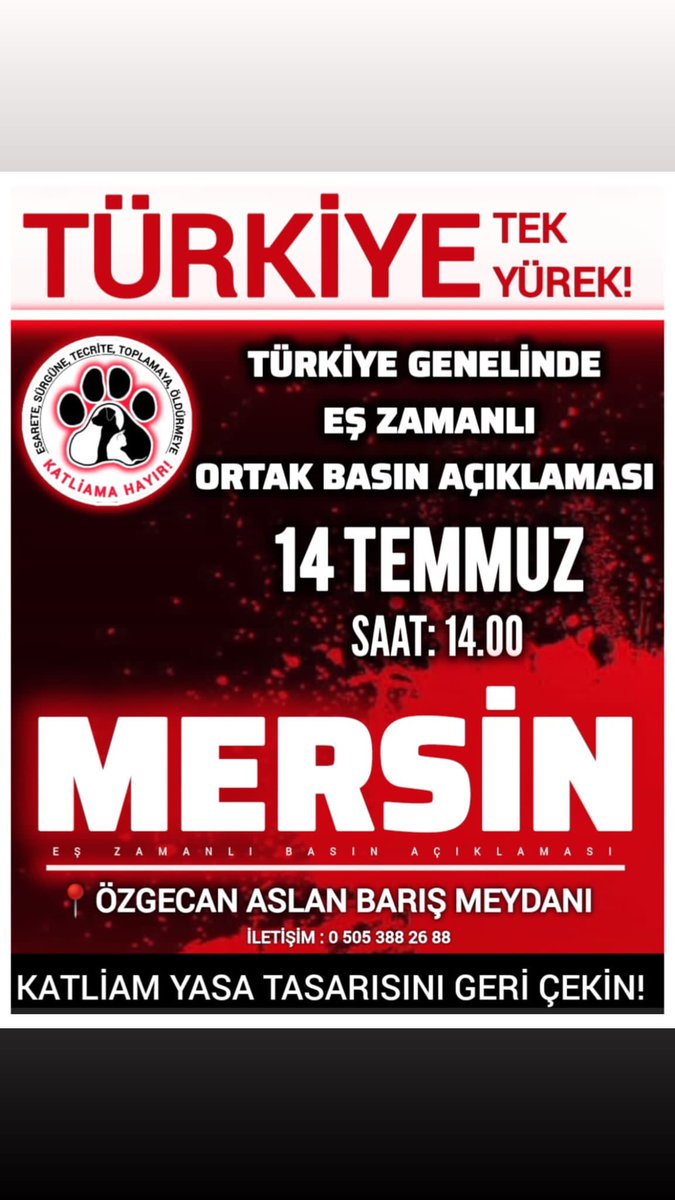 Mersin Patileri Sokak Hayvanlarını Koruma Derneği (@mpatilerii) on Twitter photo 