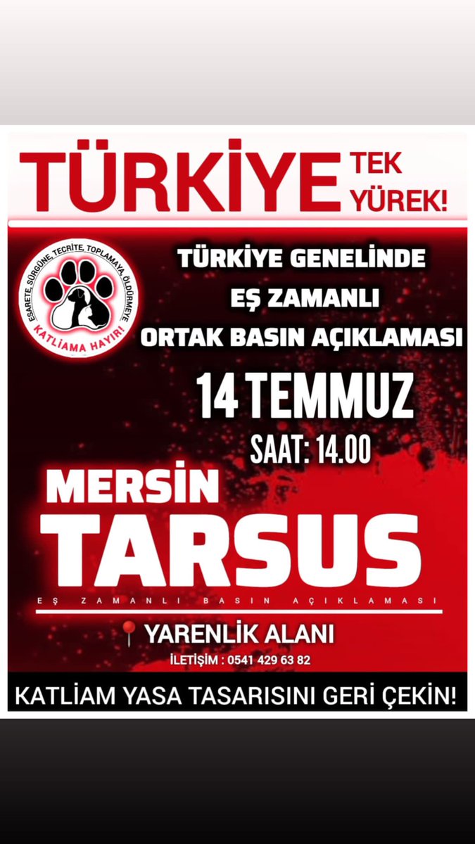 Mersin Patileri Sokak Hayvanlarını Koruma Derneği (@mpatilerii) on Twitter photo 
