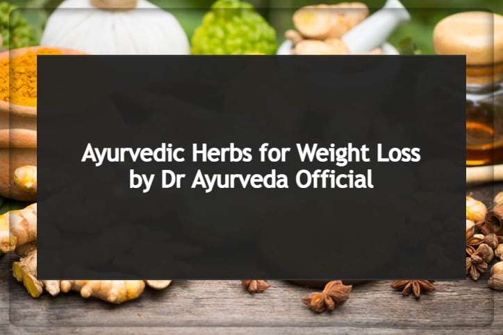 DrAyurvedaUK's tweet image. Ayurveda also encourages mindful eating, which can help you feel full while consuming fewer calories.
* Punarnava
* Triphala
* Fenugreek
* Guggul
* Kalonji
* Lemon-honey
* Turmeric
#HerbsforWeightLoss #WeightLossHelp #AyurvedaforWeightLoss #WeightLossHerbs #HealthyHerbs