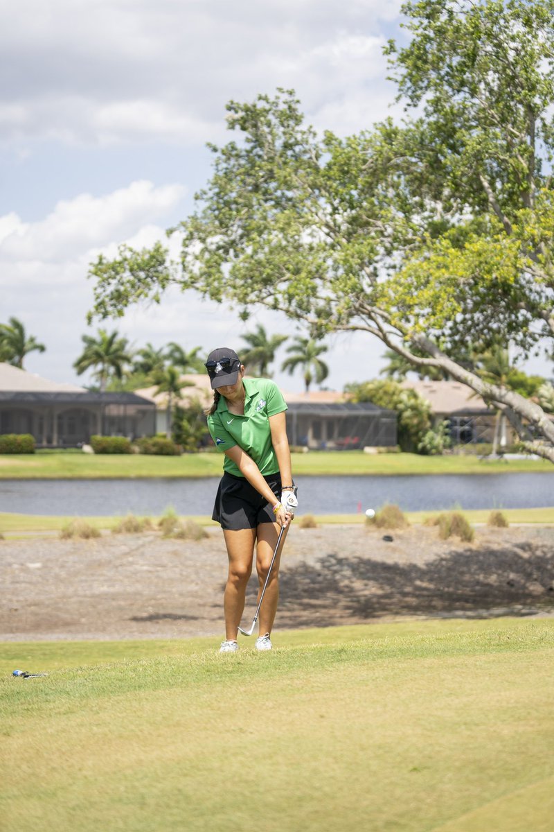 FGCU Women's Golf tweet media