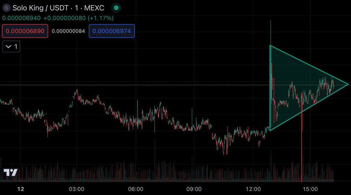 VincenzaBTC. tweet media