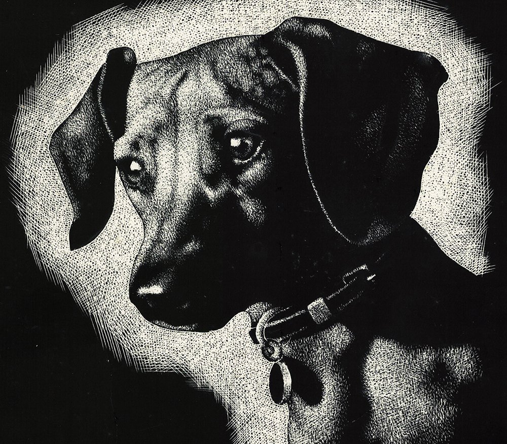 Museums, UoD (@uod_museums) on Twitter photo Have you visited our new exhibition Colour-Less, featuring stunning examples of black&white art? This adorable dog is by Alexander Allan who studied <a href="/DJCAD/">DJCAD, UoD</a> in the 1930s. Open Mon-Sat, Tower Foyer. dundee.ac.uk/events/colour-… <a href="/DundeeCulture/">Dundee Culture</a> <a href="/UoDCulture/">Culture, University of Dundee</a> <a href="/Creative_Dundee/">Creative Dundee (Archived)</a> <a href="/dundeecity/">Dundee | One City, Many Discoveries</a> Have you visited our new exhibition Colour-Less, featuring stunning examples of black&white art? This adorable dog is by Alexander Allan who studied <a href="/DJCAD/">DJCAD, UoD</a> in the 1930s. Open Mon-Sat, Tower Foyer. dundee.ac.uk/events/colour-… <a href="/DundeeCulture/">Dundee Culture</a> <a href="/UoDCulture/">Culture, University of Dundee</a> <a href="/Creative_Dundee/">Creative Dundee (Archived)</a> <a href="/dundeecity/">Dundee | One City, Many Discoveries</a>