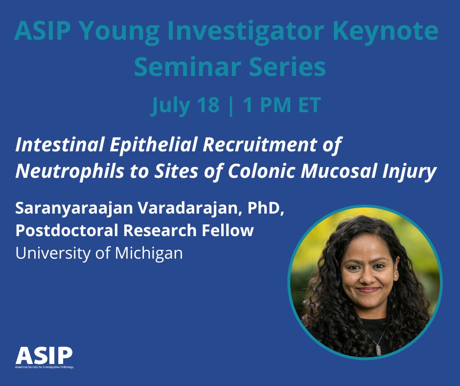 ASIPath's tweet photo. The July Young Investigator Seminar features Dr. Saranyaraajan Varadarajan (@saranya_raajan) from @UMichPath! Register now to join us next Thursday at 1 PM ET https://t.co/bqOoHn3WiF

#ASIPvirtual #ASIPwebinar @UMichMedSchool https://t.co/7Vj4gOowf5