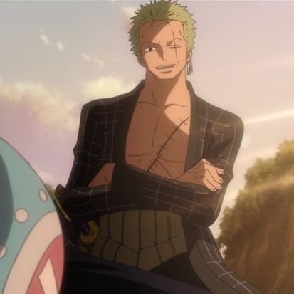 zoro pics tweet media