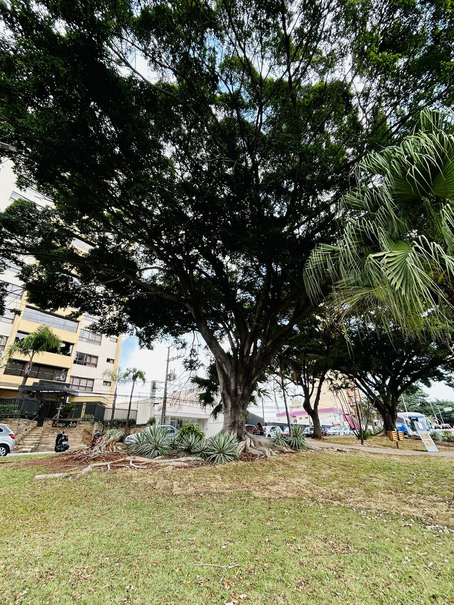 drgaurangjoshi's tweet photo. At Sorocaba, Brazil https://t.co/NLuW7itXHU