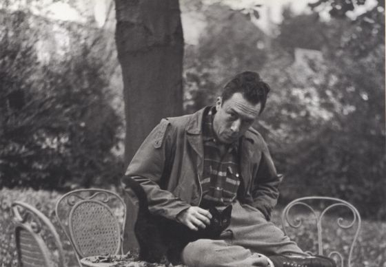 NostosLit's tweet photo. Albert Camus and his cat, Cigarette. https://t.co/0c39HE9x5n