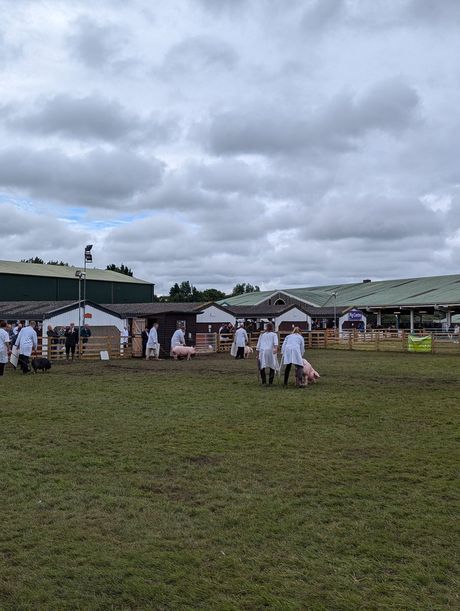 Fi Black tweet media