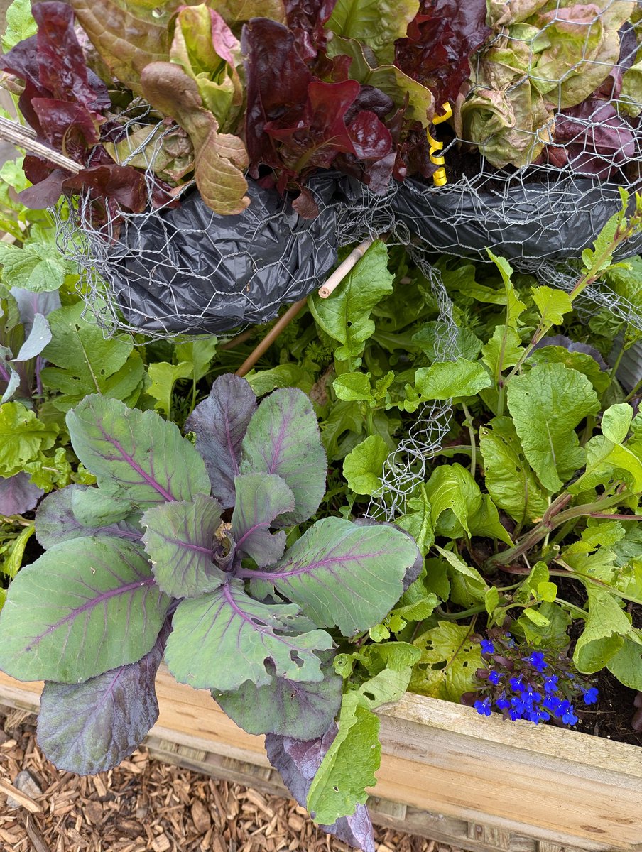 Fi Black tweet media