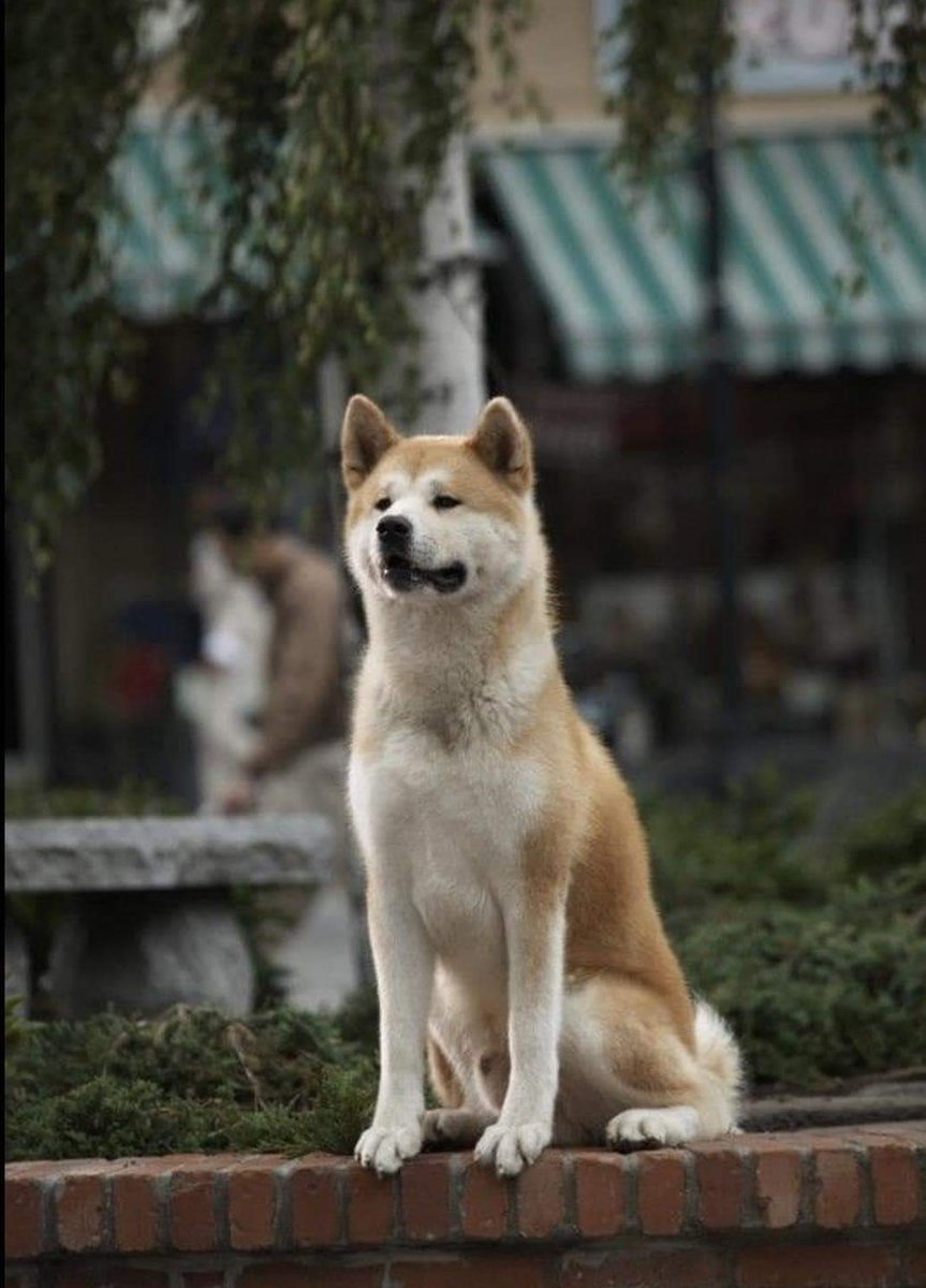 theguywidhope's tweet photo. Pictures don't speak.

The picture : https://t.co/4fjNcAzsrX