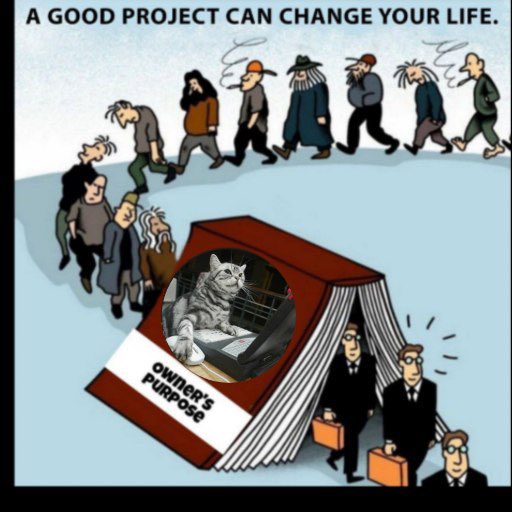 DYORCTO_'s tweet photo. Do your own research, the best project is $DYOR https://t.co/oRevgr4NKk