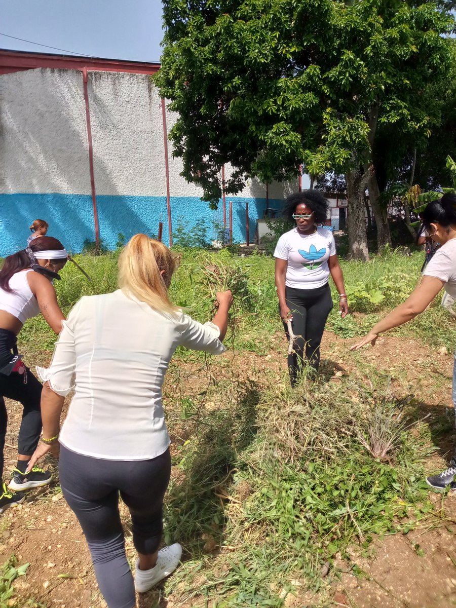 Cambio de labor en saludo al 26/7 en el organopónico de la <a href="/etmpahb4/">ETMPAHB4</a>, JUNTOS SOMOS MAS FUERTES . <a href="/GrupoAlimentos/">Grupo de Alimentos</a>, <a href="/MincinCuba/">Comercio Cuba</a>,  <a href="/LaboritMarlen/">Marlen Laborit Cuellar</a>,@betsyd
