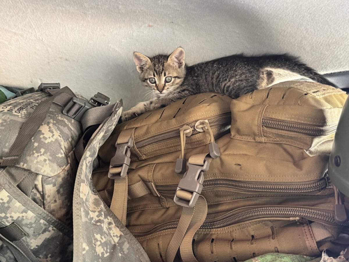 Нове чудо в нашому батальйоні…😊