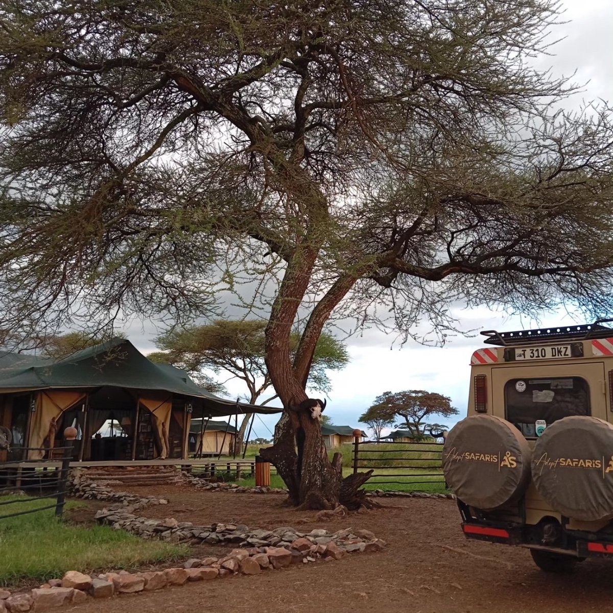 Adept Kenya Safaris tweet media