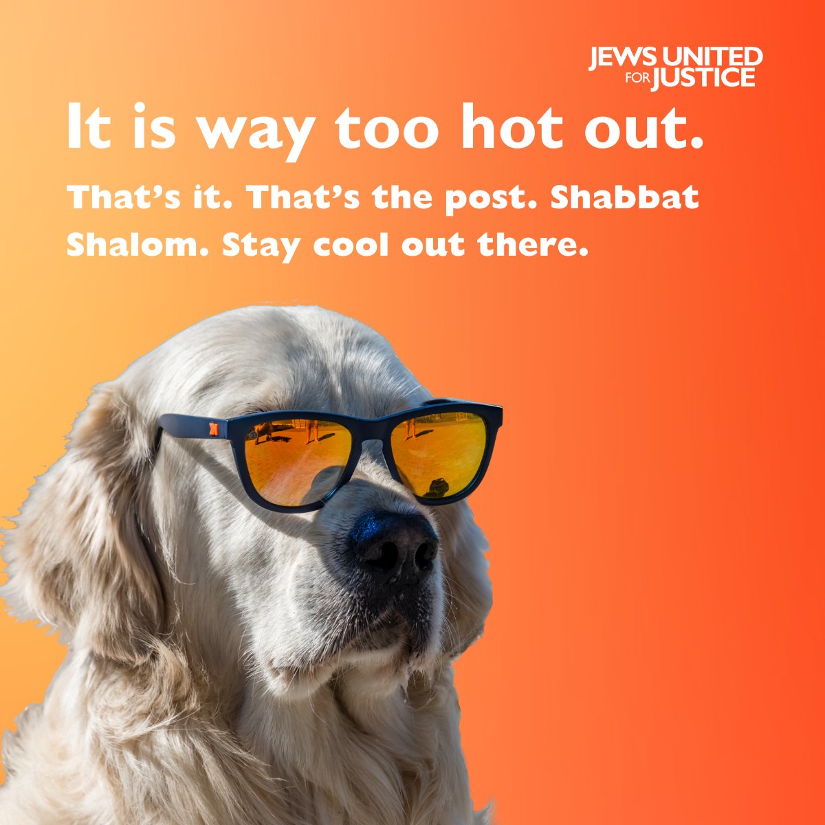 Shabbat Shalom. It’s hot out there. Luckily, next week, you can join JUFJ on Zoom from the comfort of your home (and air conditioning).

☀️ RSVP for any of our virtual events at  jufj.org/events!