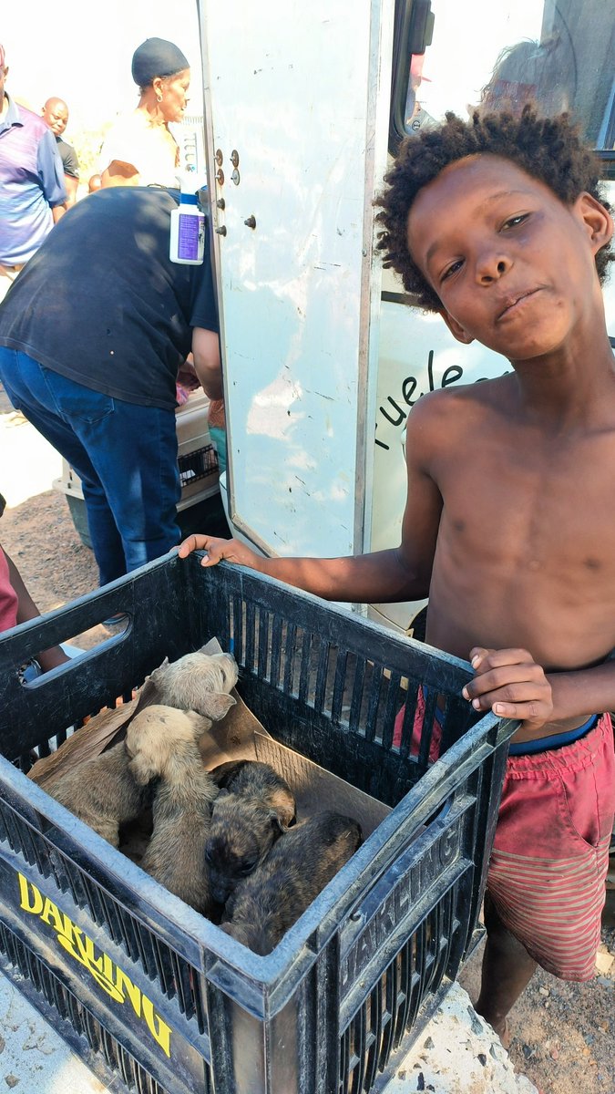 RealFrancoisvT's tweet photo. Volunteering at Tin Can Town since January. I'm doing a fund raiser event on the 27th of July.  If anybody would like to donate or help, please message me. 

Tin Can Town looks after the animals of Blikkies Dorp

I need all the help I can get. I'm all about animal welfare. https://t.co/FB7h40T1C5