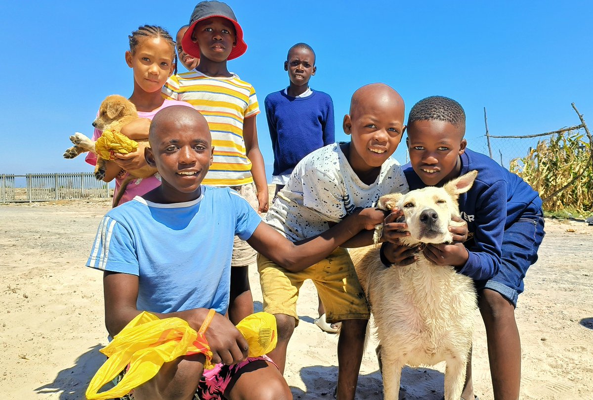 RealFrancoisvT's tweet photo. Volunteering at Tin Can Town since January. I'm doing a fund raiser event on the 27th of July.  If anybody would like to donate or help, please message me. 

Tin Can Town looks after the animals of Blikkies Dorp

I need all the help I can get. I'm all about animal welfare. https://t.co/FB7h40T1C5