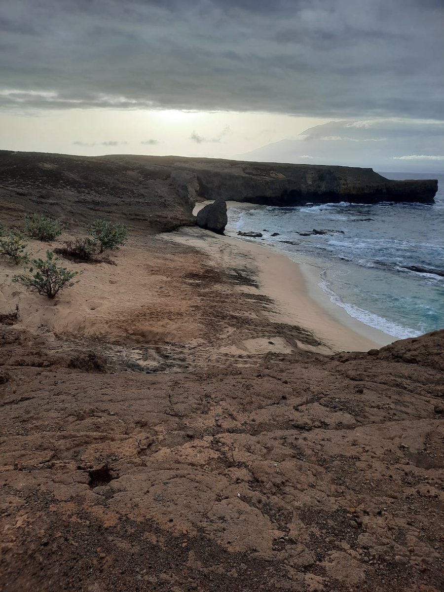 EizaguirreLab's tweet photo. Busy 15th year of our #Turtleproject. After working in #SaoVicente with @BiosferaCV, in #Sal with @ProjetoBioSal, direction #Fogo to meet the equally fantastic team of @projecto_vito All those turtle tracks promise a lot of activities in this growing nesting group for loggerhead! https://t.co/XU7RXaCYu8