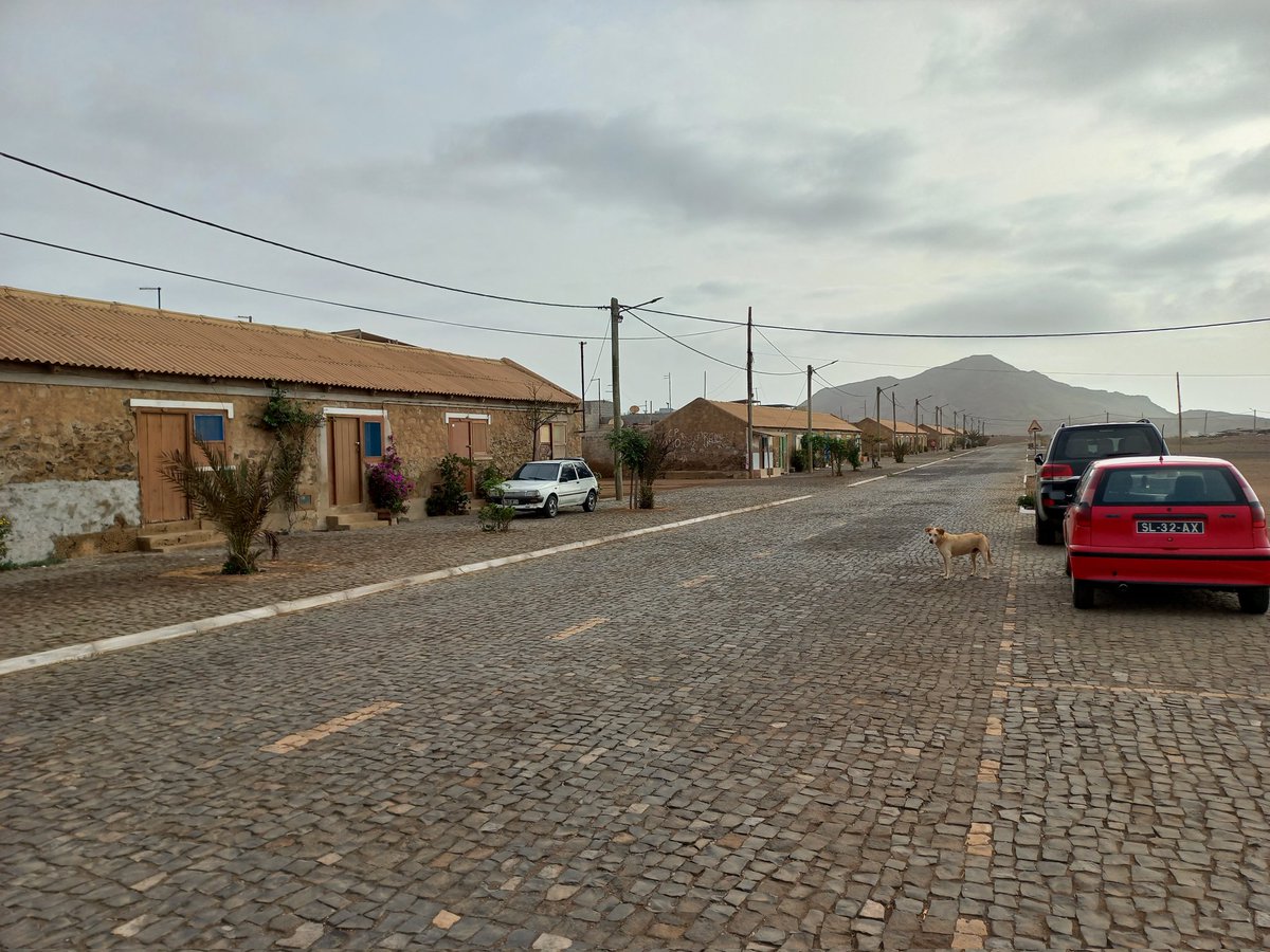 EizaguirreLab's tweet photo. Busy 15th year of our #Turtleproject. After working in #SaoVicente with @BiosferaCV, in #Sal with @ProjetoBioSal, direction #Fogo to meet the equally fantastic team of @projecto_vito All those turtle tracks promise a lot of activities in this growing nesting group for loggerhead! https://t.co/XU7RXaCYu8