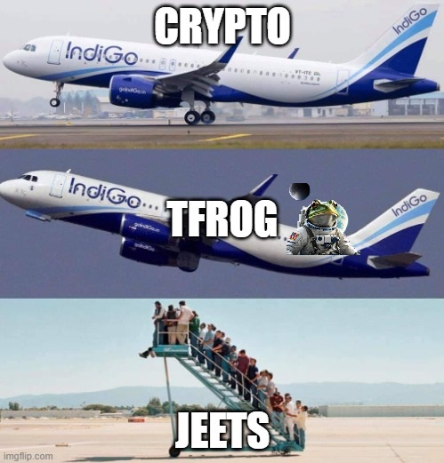 TonfrogPPP's tweet photo. The runway is clear, all flight systems ready, and wind from the west 10 knots.  

Air Traffic Control we are asking for take off, final destination the 🌕

$TFROG  Send it! 🚀🚀

#1000x #RespecttheCroak https://t.co/NWA59Welz5