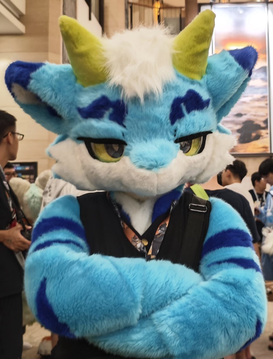 rabb177's tweet photo. FurMIT Day0
小米14U 用攝影組根本不好拍毛。按對焦直接對著人頭去對超好笑。
但顏色/光線還是很足夠,可惜有些後面看覺得曝光太過了。
#FurMIT
#FurMIT2024
#Fursuit
---
#Xiaomi14Ultra
#14U
#14Ultra https://t.co/whtEbcbhbq
