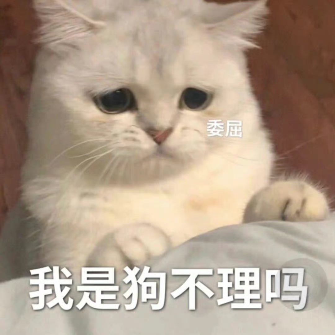 adventuredecoco's tweet photo. 有没有免费或者便宜好用的VPN推荐啊 https://t.co/n545AegDQK